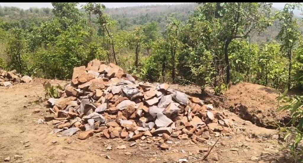 सागौन की अवैध कटाई और पहाड़ों में अवैध उत्खनन से दहशत में ग्रामीण, प्रशासन पर चुप्पी के आरोप 1001974035