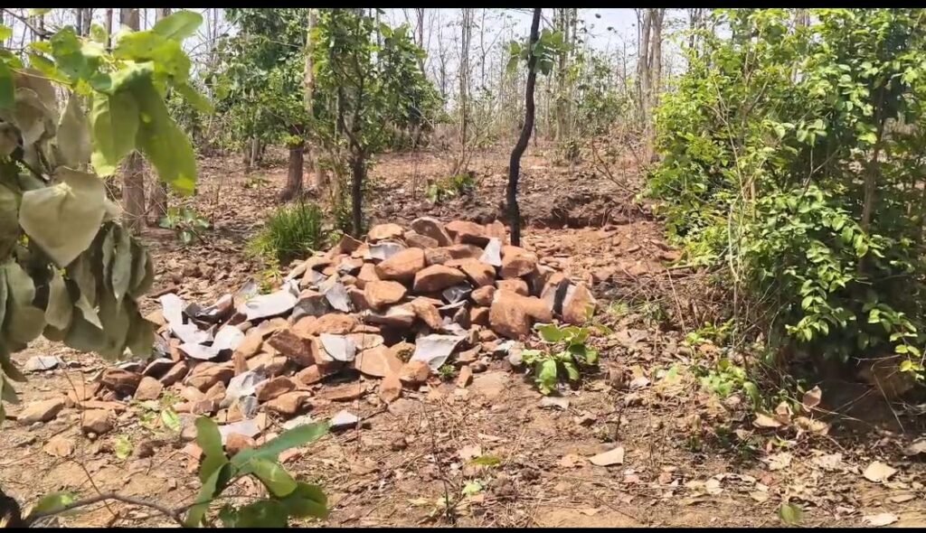 सागौन की अवैध कटाई और पहाड़ों में अवैध उत्खनन से दहशत में ग्रामीण, प्रशासन पर चुप्पी के आरोप 1001974037