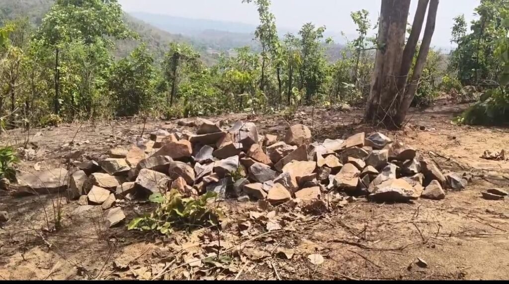 सागौन की अवैध कटाई और पहाड़ों में अवैध उत्खनन से दहशत में ग्रामीण, प्रशासन पर चुप्पी के आरोप 1001974048