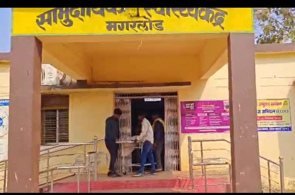 आधा दर्जन गांवों में मक्खियों का आतंक: खाना-पीना और सोना हुआ मुश्किल, ग्रामीण पहुंचे कलेक्टर दरबार 1002044023