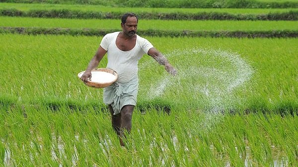 यूरिया वितरण में किसानों को बड़ी राहत: खरीफ 2025 जितनी मात्रा इस बार भी मिलेगी, सरकार ने जारी किए नए निर्देश 1002161602