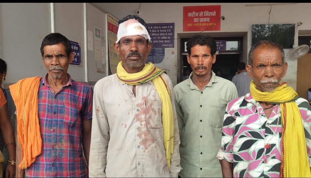 राजनांदगांव: 18 एकड़ जमीन विवाद में खूनी संघर्ष, दो परिवारों के 12 लोग घायल, दो की हालत गंभीर 1002162498